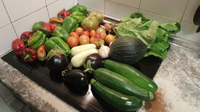 Contenido de la cesta de la semana con calabacines, un melón, una lechuga, berenjenas, pepinos blancos, ajos, tomates y pimientos.