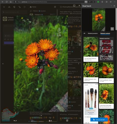 #VisualSearch is #StillQuiteCool...