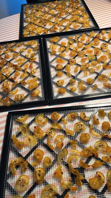 Kvædeskiver på tynde bakker fra en dehydrator