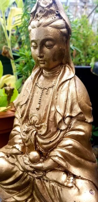 My gold painted Guanyin statue, in the front garden.