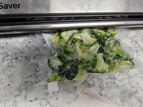 A vacuum sealer pulls the air out of a package containing already cooked broccoli crowns. A few ice cubes are in the vacuum sealed bag as well so that when the broccoli is reheated moisture will be added back in.