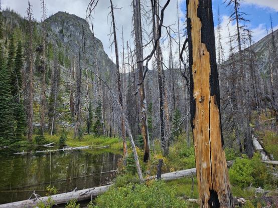 Dead trees marred by forest fire stand around a little pond. In the background our stark tree-less cliffs making a zigzag through the clouds of a sky that only has a patch of blue.