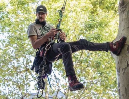 Thomas Brail perché dans un arbre
