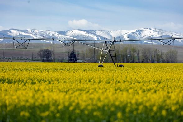 photo - Harney Basin, Oregon groundwater pumping and irrigation