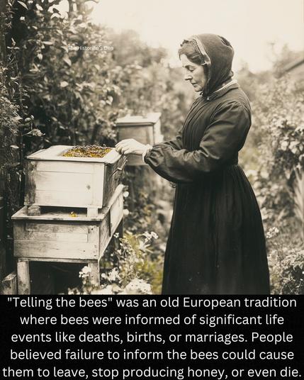 vintage photo of a woman in a long dress and cap standing next to a wooden bee hive
