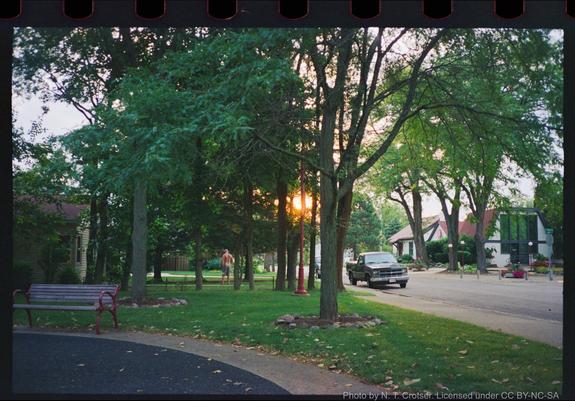 Color photograph of a sunset through trees in a residential neighborhood