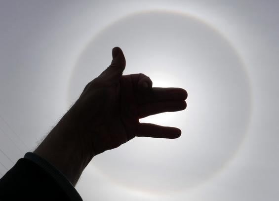 similar to a hand shadow, the posed fingers of my left hand held up in front of the sun form the shape of a dog... the sun is surrounded by its most common atmospheric artifact, the  22° halo