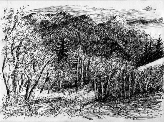 Some trees and mountains covered with snow.