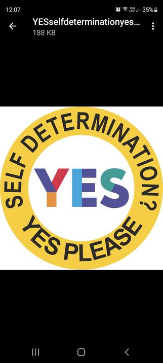 A yes badge with the question "self determination?'" And the answer "yes please"