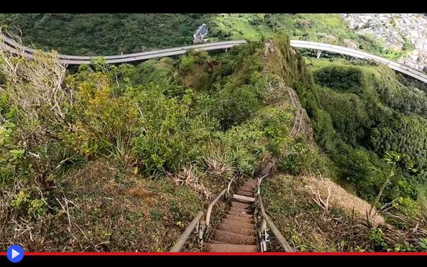 Stretta scalinata di metallo si allontana scendendo verso un paesaggio ricoperto di vegetazione. Una larga strada sopraelevata, perpendicolarmente, attraversa l'inquadratura.