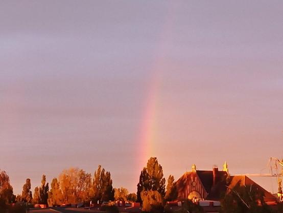 Ein schwacher Regenbogen erhebt sich über einer Häuserreihe und Bäumen im Vordergrund. Die Bäume und das Haus im rechten Teil des Bildes werden von der tiefstehenden Sonne in warmem, goldenen Licht beleuchtet. Der Himmel ist in sanften, pastellfarbenen Tönen gehalten, von Grau bis Rosa.