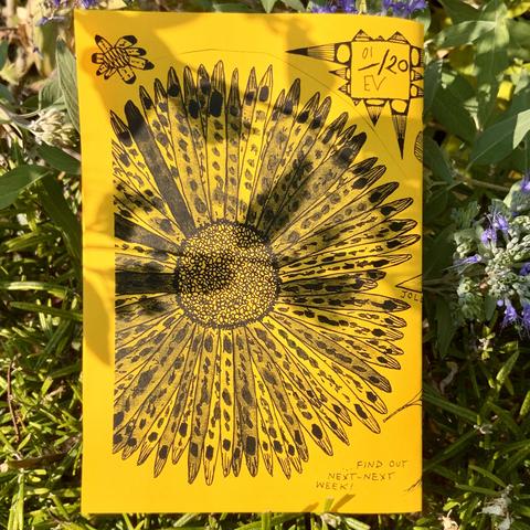 The back cover of the zine, featuring a giant flower illustration (it started off as a daisy, but because of the sunflower-yellow paper, the more I look at it, the more it morphs into a sunflower in my mind).