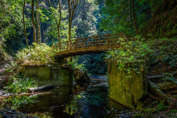 a bridge over Aptos Creek in the Forest of Nisene Marks in California