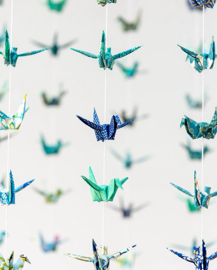 Pluie de grues bleue et verte