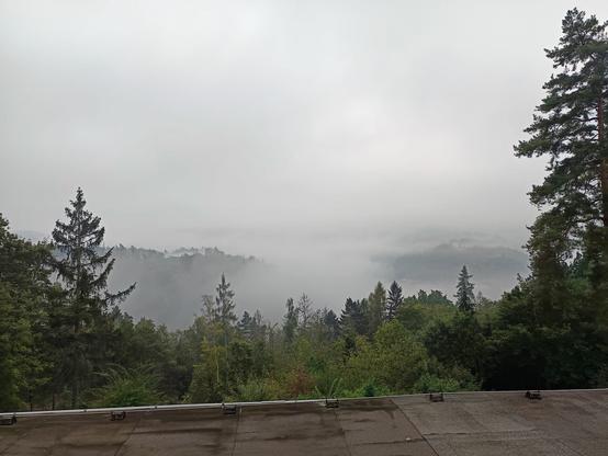 Blick aus einem Hotelzimmerfenster über ein Flachdach hinweg in eine graue, dicht bewölkte, Nebelverhangene Baumlandschaft. Im Vordergrund (im unteren Bildteil) säumen dunkelgrüne Nadelbaumspitzen das Bild
