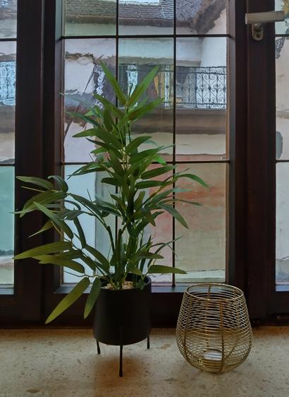 Blik uit hrt raam van Gasthof Johanniter in Bad Mergentheim met een plant en een kaarsenhouder op de marmeren vensterbank. ¦ View out of the window of the Johanniter Inn at Bad Mergentheim showing a plant and a candle holder on a marble window till.