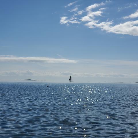 Sailboat far away looks like it's floating in mid-air. In a foggy area of the Pacific Ocean, by horizon line. A small island is to the left, past the sailboat.