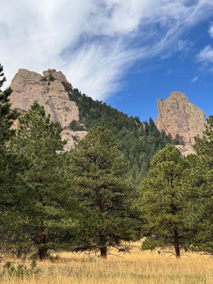 Dry golden grass and bright green pine trees in the foreground against large steep jutting treeless granite peaks and a bright blue sky with wispy white clouds