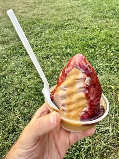 Photo of chocolate ice cream with peanut butter and raspberry topping in a plastic cup with a white spoon.