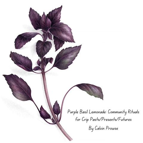 A drawing of a purple basil plant, with the words: "Purple Basil Lemonade: Community Rituals for Crip Pasts / Presents / Futures, by Calvin Prowse"