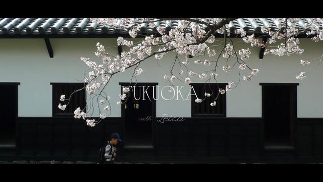 Leica D lux4 photography  Fukuoka, Japan