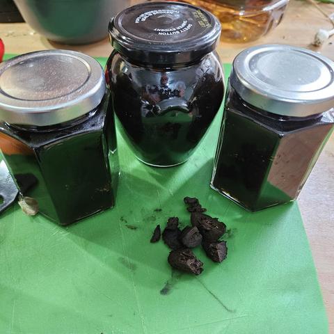 Three small jars with dark near black content, sat on a green plastic chopping board, a hexagonal jar with a silver lid either side and slightly closer than a pretty bulbous jar with a black lid. Betwen them is some chopped up bits of brined walnut.