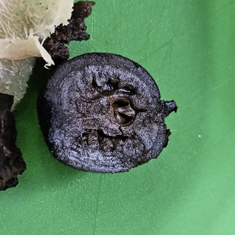A halved a brined walnut on a green plastic board, cut side up it is very black edges to dark green brown centre, air that typical kind of pickled walnut tiny brain in a skull look to it.
