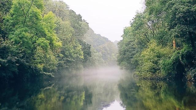 Mist on a river in wooded valley