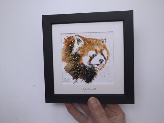 gerahmte Illustrationen Motiv Roter Panda, halte das Bild zum Einschätzen der Größe in der Hand (ca. 15x15cm)