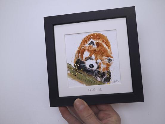 gerahmte Illustrationen Motiv Roter Panda, halte das Bild zum Einschätzen der Größe in der Hand (ca. 15x15cm)