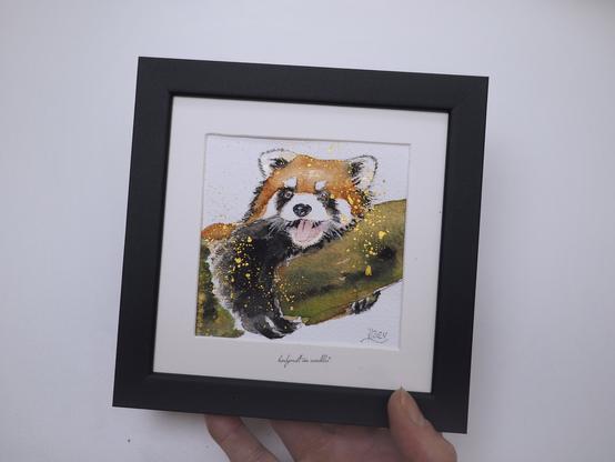 gerahmte Illustrationen Motiv Roter Panda, halte das Bild zum Einschätzen der Größe in der Hand (ca. 15x15cm)