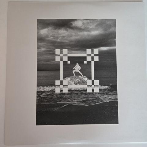 And So I Watch You From Afar's "Megafauna" gatefold LP, inner sleeve