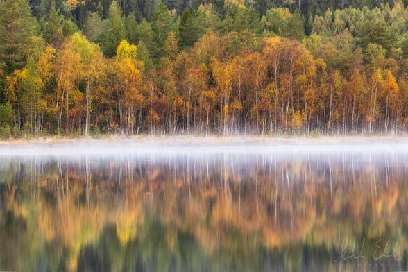 Höstbild vid en spegelblank sjö.
