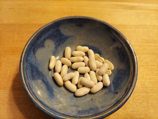 Dried white beans in a small blue bowl.
