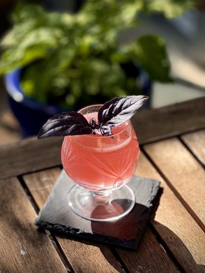 bright pink cocktail with deep purple basil leaf garnish sitting on a black coaster in the sun with a chili plant on the background