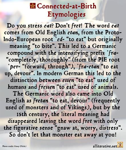 Do you stress eat? Don’t fret! The word eat comes from Old English etan, from the Proto-Indo-European root *ed- “to eat” but originally meaning “to bite”. This led to a Germanic compound with the intensifying prefix *fra- “completely, thoroughly” (from the PIE root *per- “forward, through”), *fra-etan “to eat up, devour”. In modern German this led to the distinction between essen “to eat” used of humans and fressen “to eat” used of animals. The Germanic word also came into Old English as fretan “to eat, devour” frequently used of monsters and of Vikings, but by the 15th century, the literal meaning had disappeared leaving the word fret with only the figurative sense “gnaw at, worry, distress”. So don’t let that monster eat away at you!