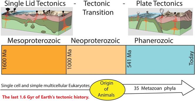 graphic - the last 1.6 Gyr of Earth's tectonic history