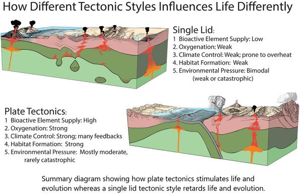 schematics - Summary diagrams showing how plate tectonics stimulates life and evolution whereas a single lid tectonic style retards life and evolution.