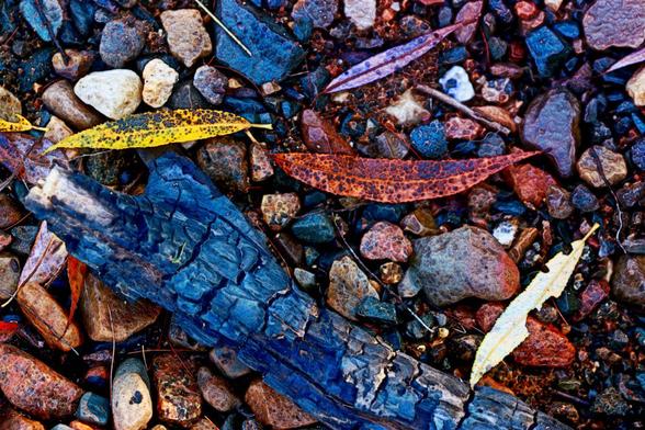 Medium close-up of part of a partially burnt piece of wood from a beach campfire, surrounding there are small stones and coloured leaves. The digital effect creates a painterly quality to the composition.