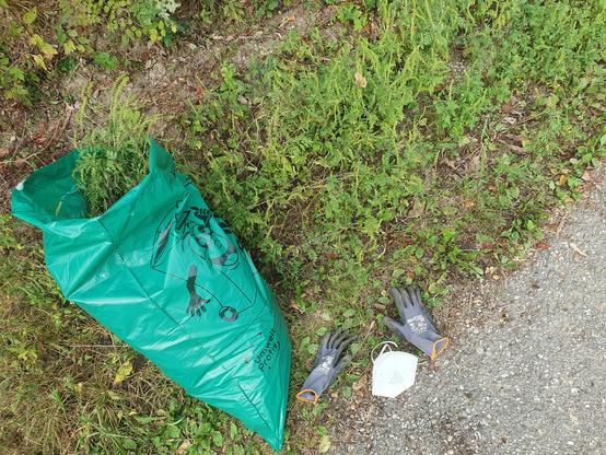 Ein großer,  grüner Müllsack mit Pflanzen darin liegt auf der Wiese. Nebenbei liegen Handschuhe und eine Maske.