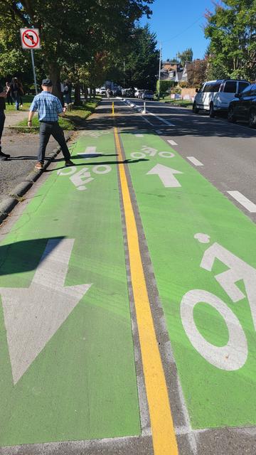 Photo of two-way bike lane with a curb at right to separate it from vehicular traffic. Foreground bike lanes are painted green.