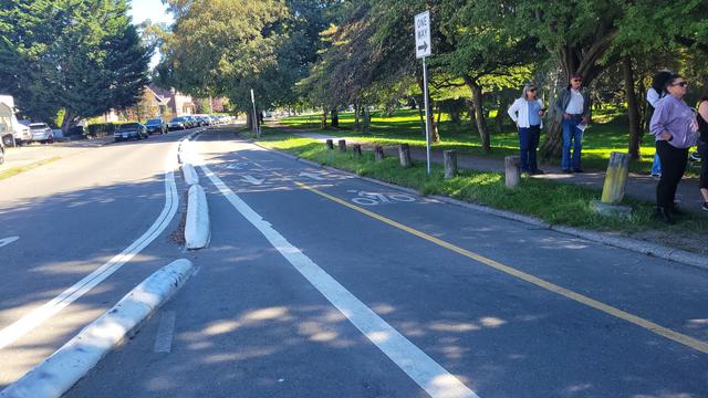 Photo of two way bike lane with curb at left to separate it from vehicular traffic. At right, a shady green park and people standing and listening to a speaker out of view. Trees line the street on either side.