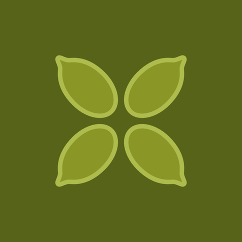 An illustration of four pumpkin seeds arranged in an X shape on a green background