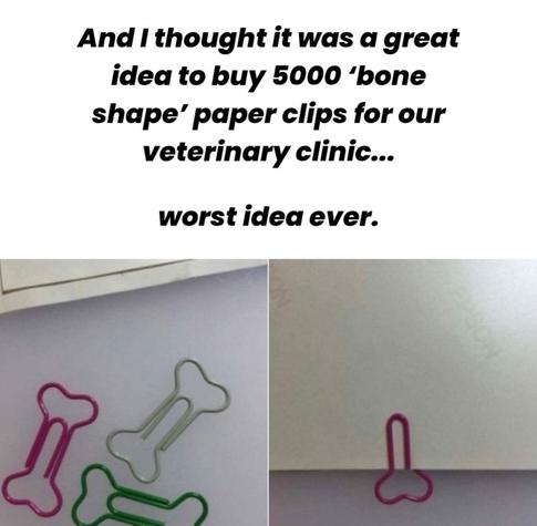 Side-by-side photos of some bone-shaped paperclips. On the left, they are laying on a desk. On the right, we see only the part of it which is visible while it’s clipping papers– the image blatantly evokes male genitalia. 

Meme text reads, “And I thought it was a great idea to buy 5,000 ‘bone shape' paper clips for our veterinary clinic…worst idea ever.”