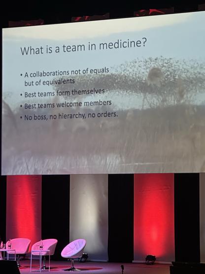 The image features a presentation slide titled "What is a team in medicine?" It includes bullet points discussing collaboration in medical teams, emphasizing equality, self-formation, welcoming members, and the absence of hierarchy or orders. The background shows a blurred image of a murmuration of starlings