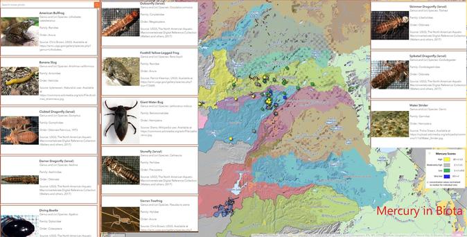 maps and figures - mercury in biota