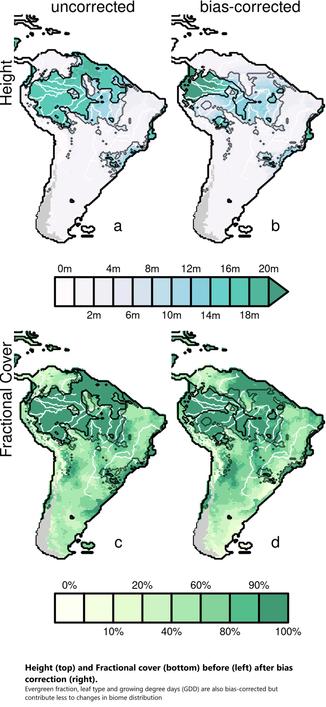 maps - Height (top) and Fractional cover (bottom) before (left) after bias correction (right).