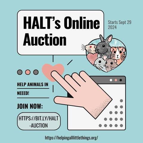 Flyer with light blue background announcing the auction, with the date, HALT logo, link, and HALT website