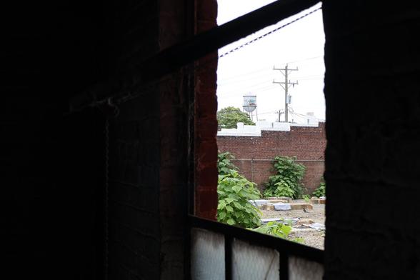 Looking out a window in a dark brick room onto a gravel area with cement plinths draped in blue-gray felts with green leaves growing in some spots. In the background is a brick wall of the next building and green vines growing up a wire fence.