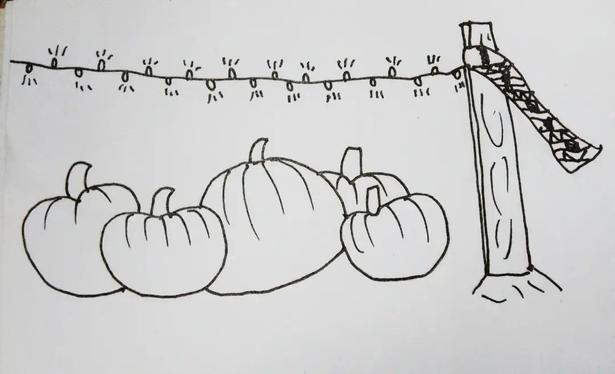 An autumn pumpkin patch.